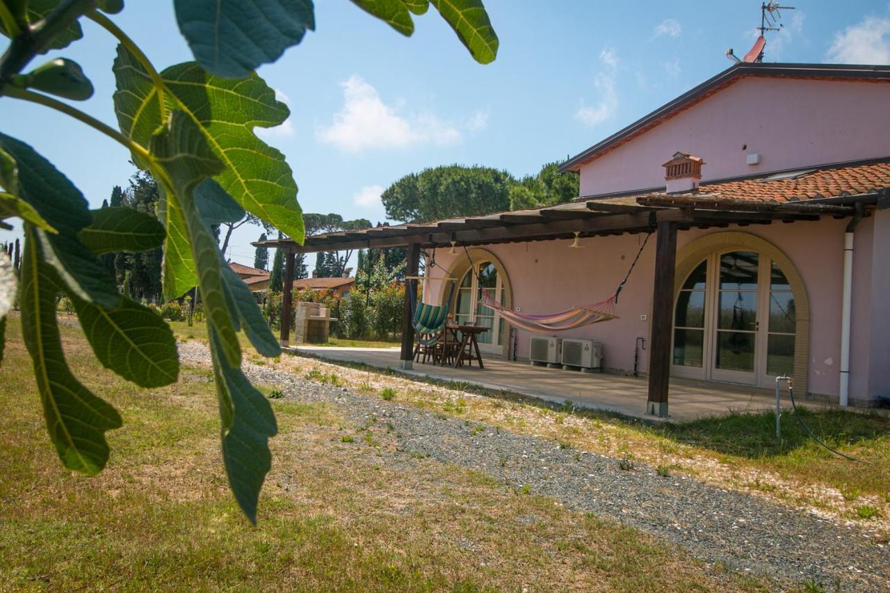 Fattoria Palazzeta - Pet & Family Friendly Aparthotel Cecina  Bagian luar foto
