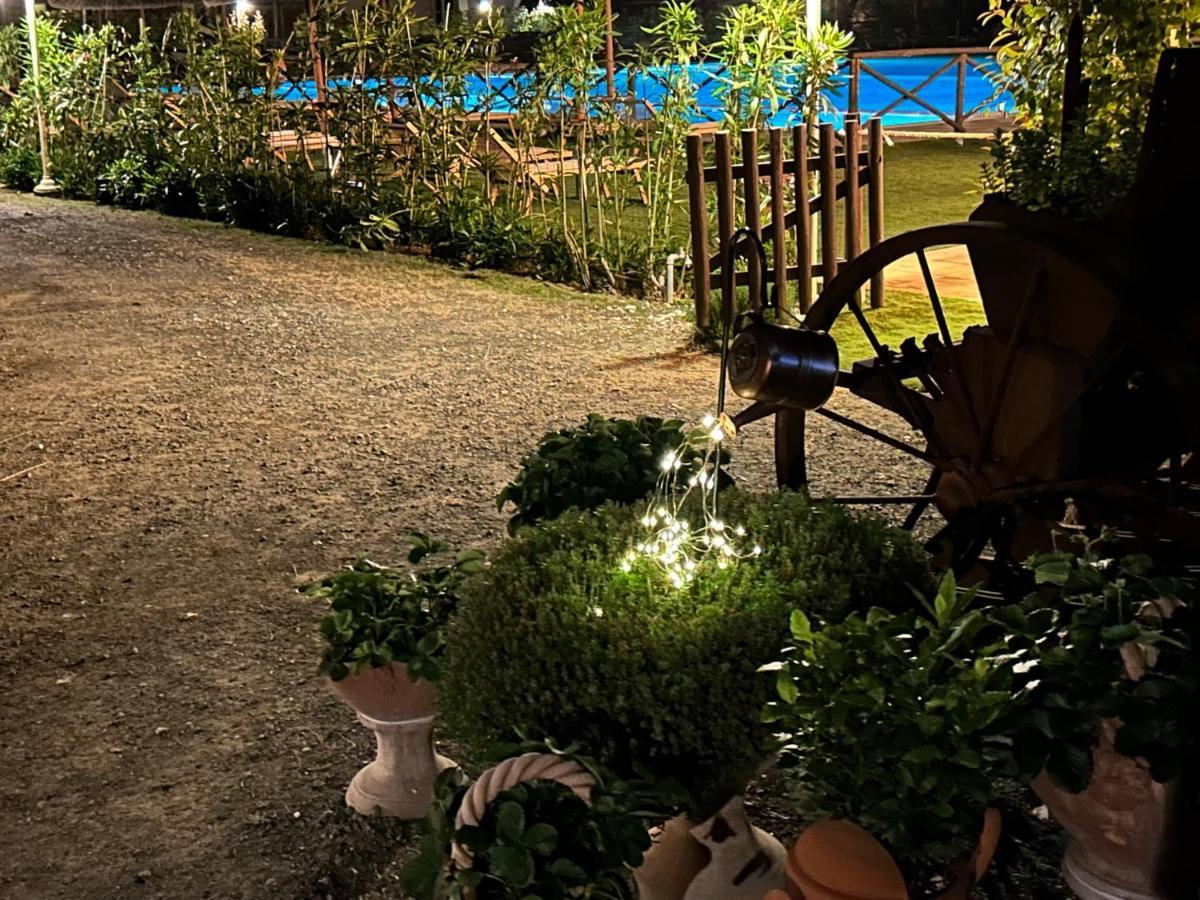 Fattoria Palazzeta - Pet & Family Friendly Aparthotel Cecina  Bagian luar foto