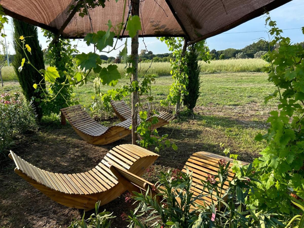 Fattoria Palazzeta - Pet & Family Friendly Aparthotel Cecina  Bagian luar foto