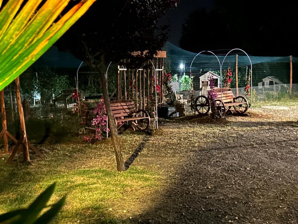 Fattoria Palazzeta - Pet & Family Friendly Aparthotel Cecina  Bagian luar foto
