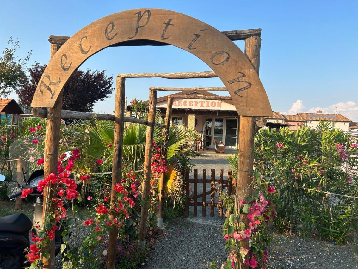 Fattoria Palazzeta - Pet & Family Friendly Aparthotel Cecina  Bagian luar foto