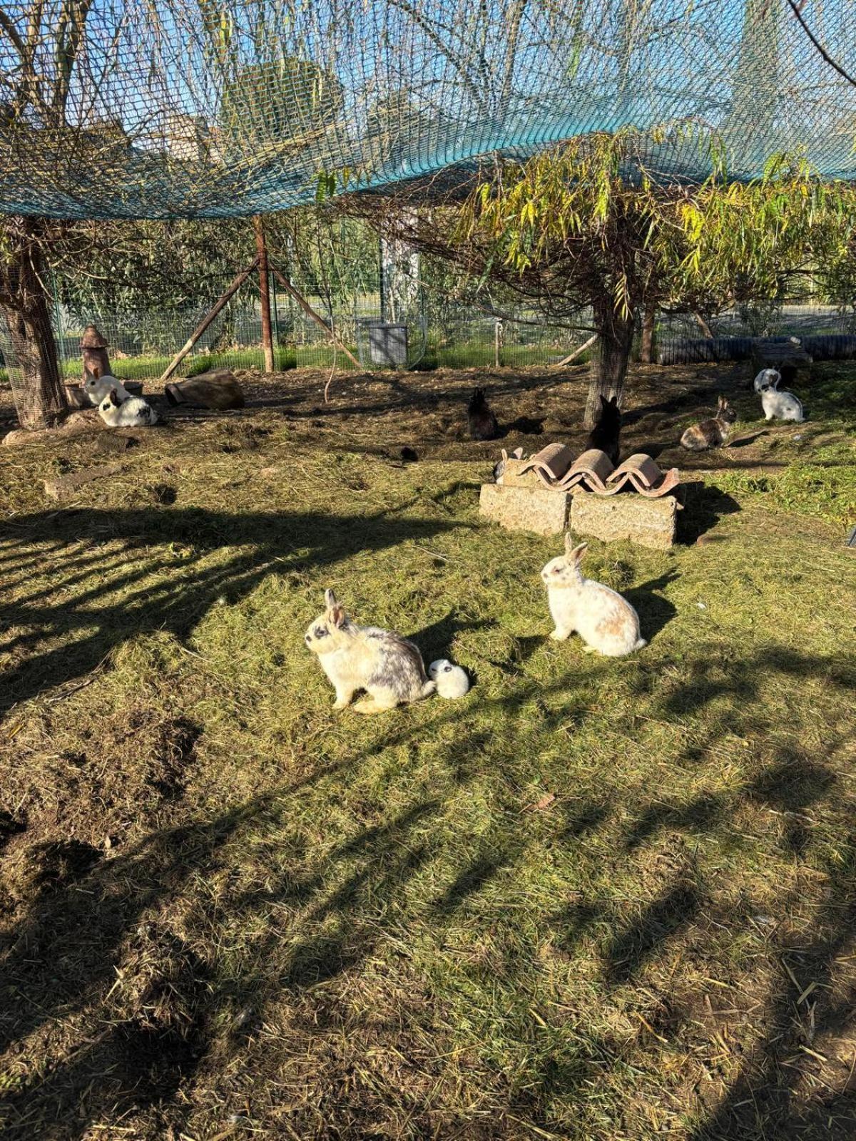 Fattoria Palazzeta - Pet & Family Friendly Aparthotel Cecina  Bagian luar foto